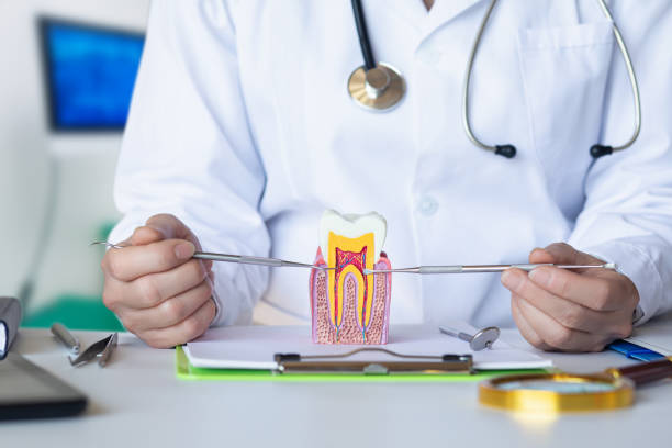 Best Broken or Chipped Tooth Repair in Lemont, PA